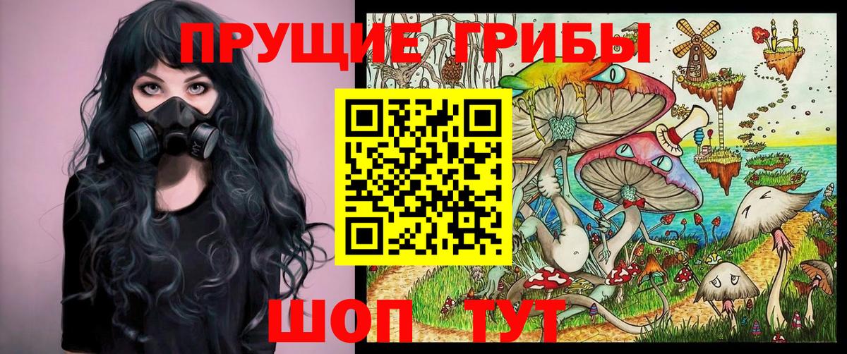 Галлюциногенные грибы мухоморы Тамбов