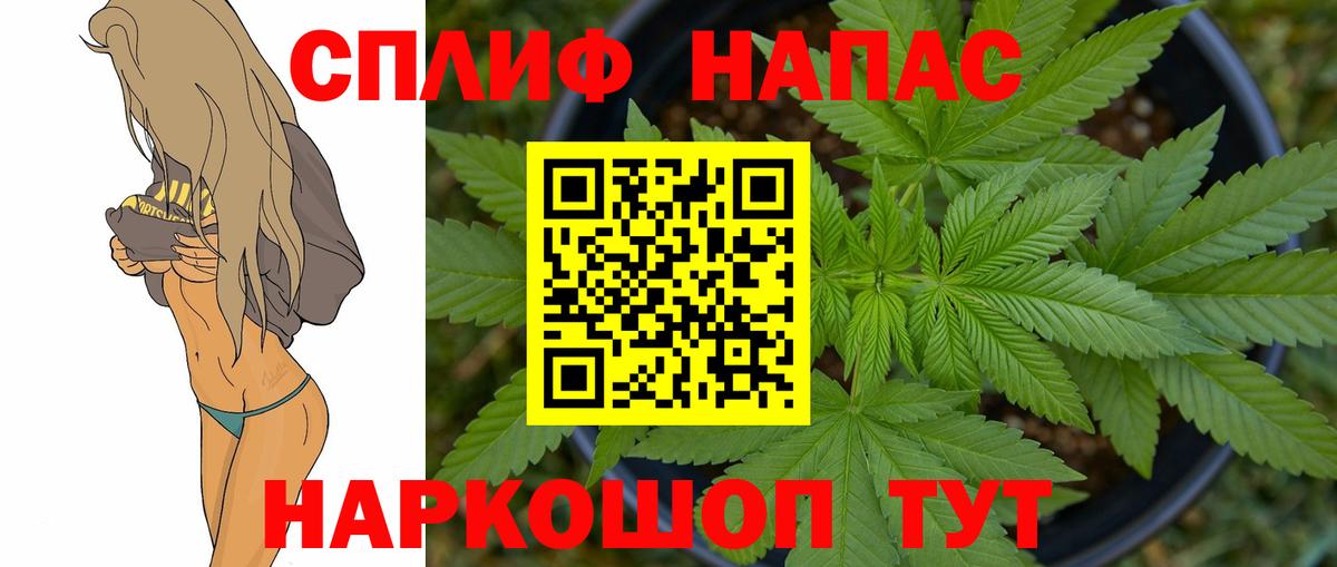 Каннабис ГИДРОПОН Тамбов